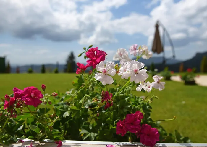 релакс Villa Pamporovo